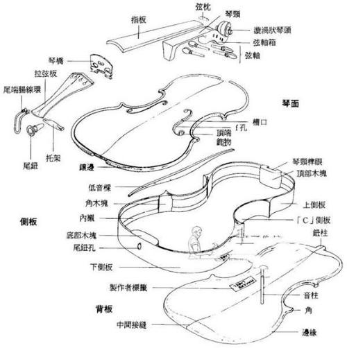 Super detailed diagram of structure of a violin
