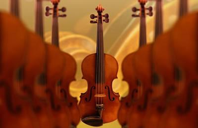 What affects the sound of stringed instruments (violins and violins)
